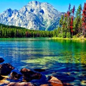 Meet your Posher, Sofia